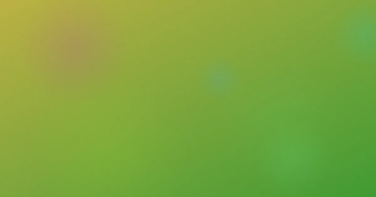 我的野蛮女友2测评避坑